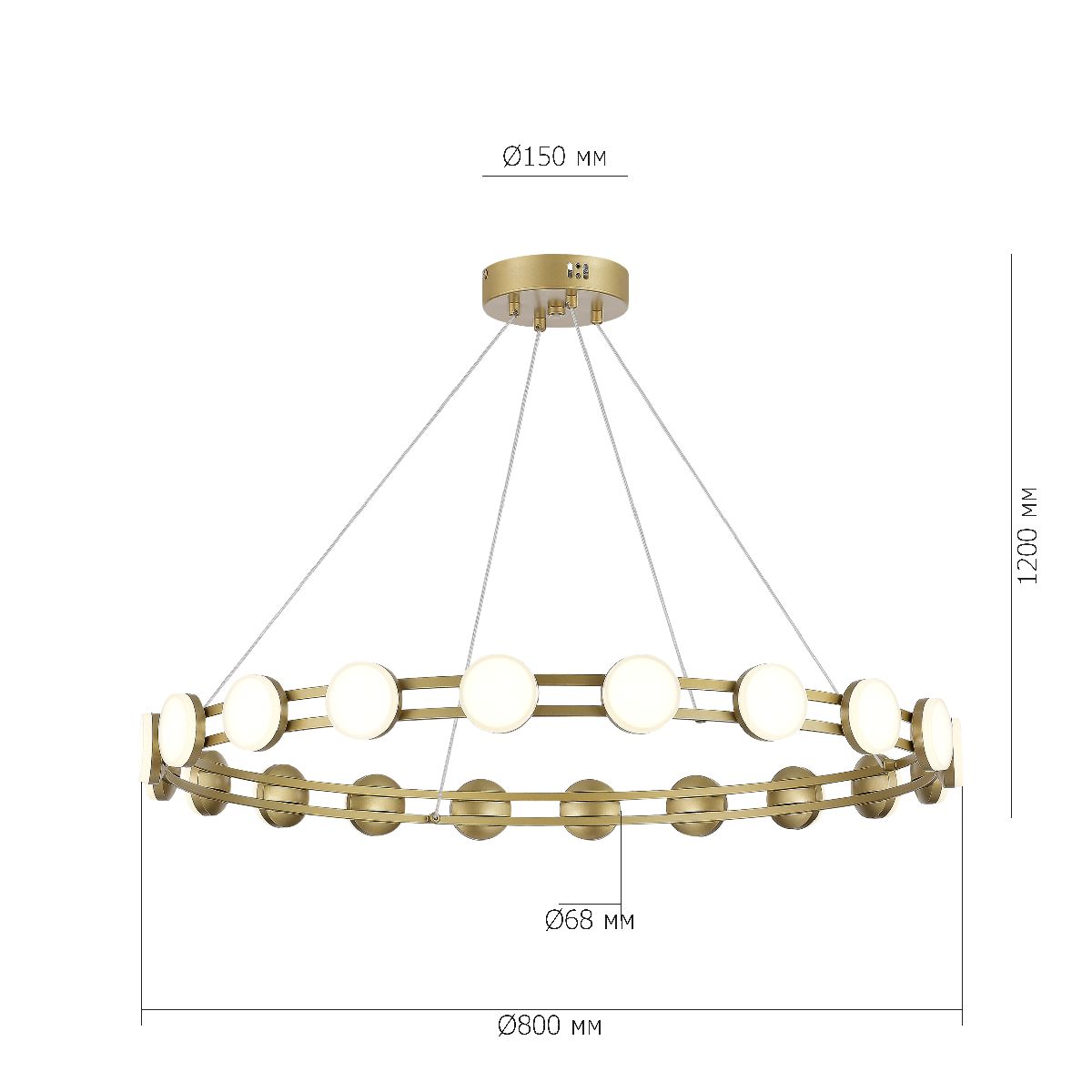 Подвесная люстра ST Luce Monro SL6610.203.20