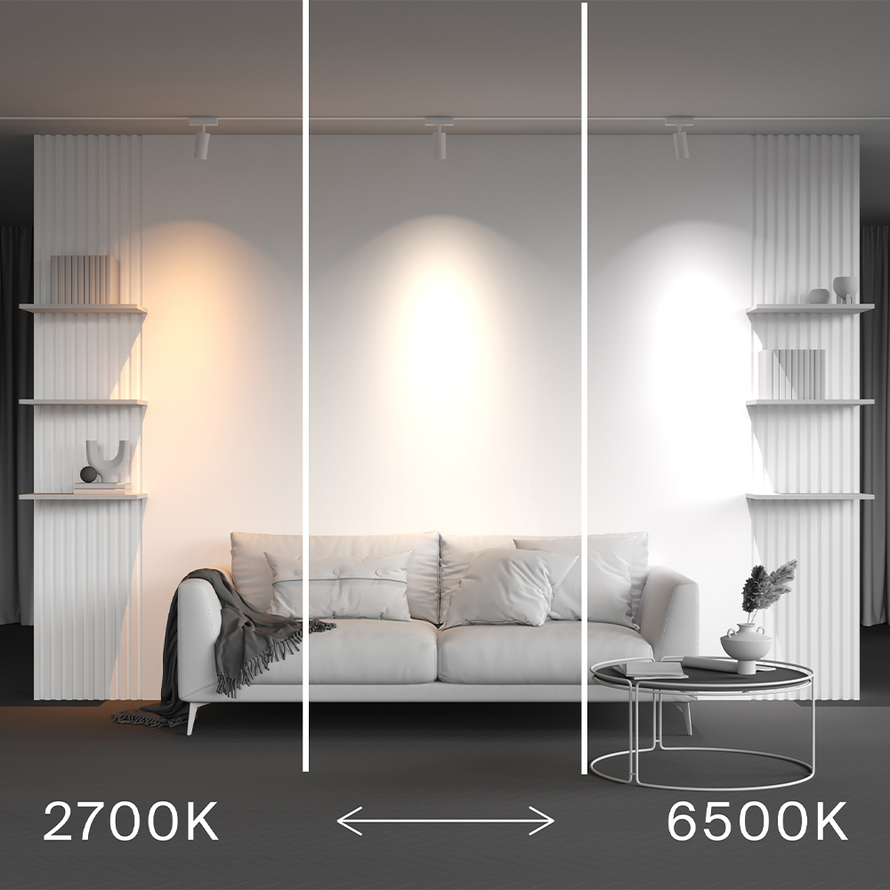 Трековый магнитный светильник Maytoni Technical Focus Led Radity TR103-4-12WTW-M-W