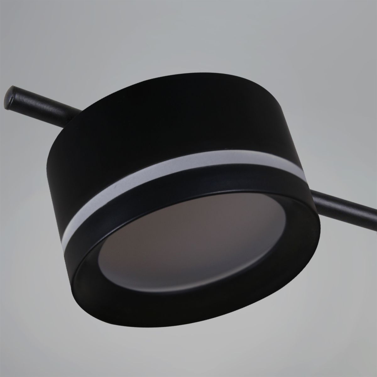 Потолочная люстра Reluce 10590-0.3-12 Black