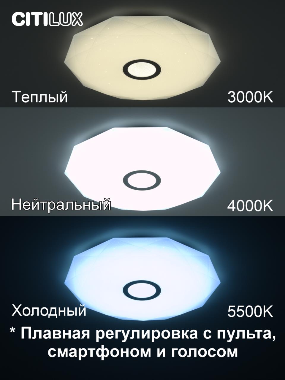 Накладной светильник Citilux CL713A60G в Москве