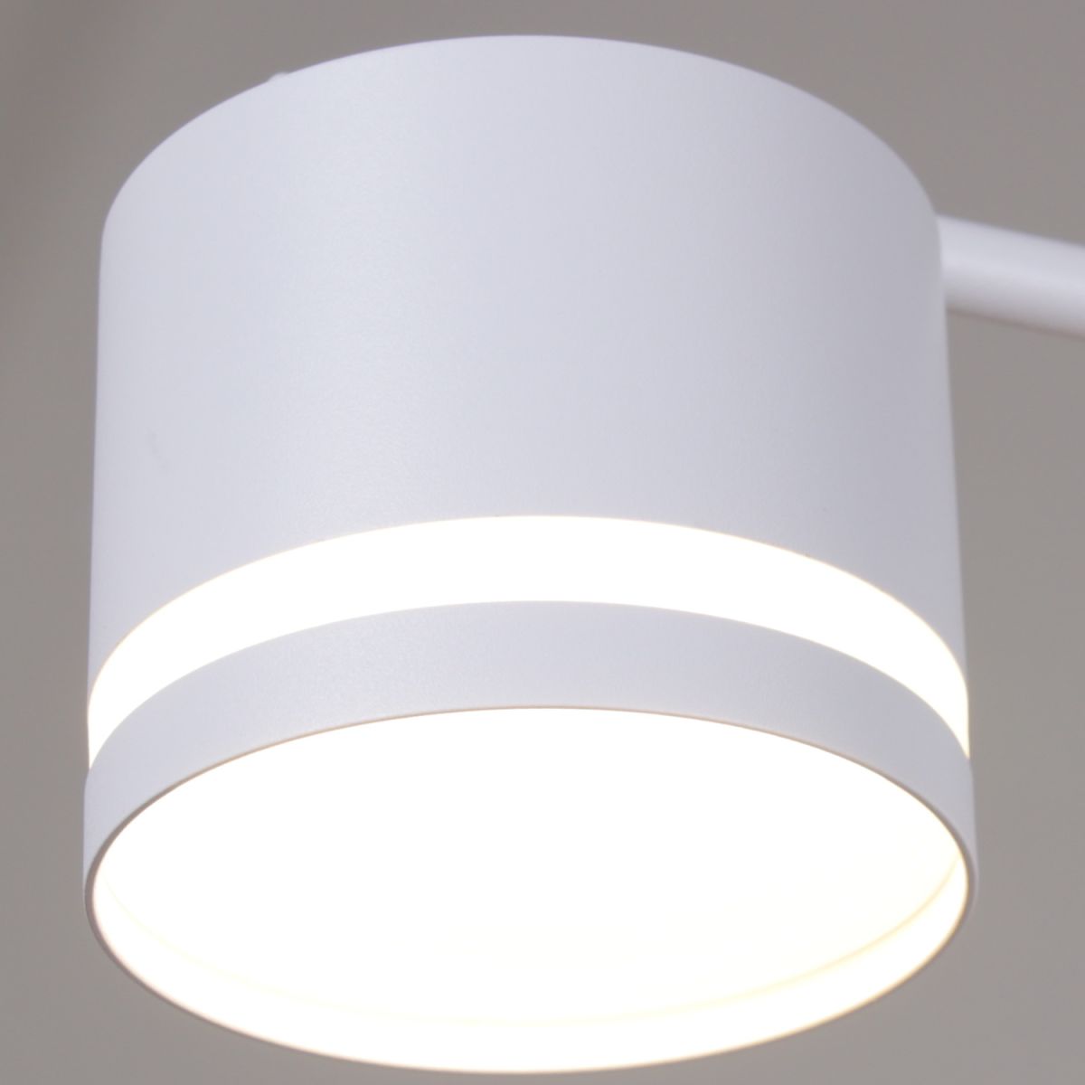 Потолочная люстра Reluce 77730-0.3-08 GX53 WT