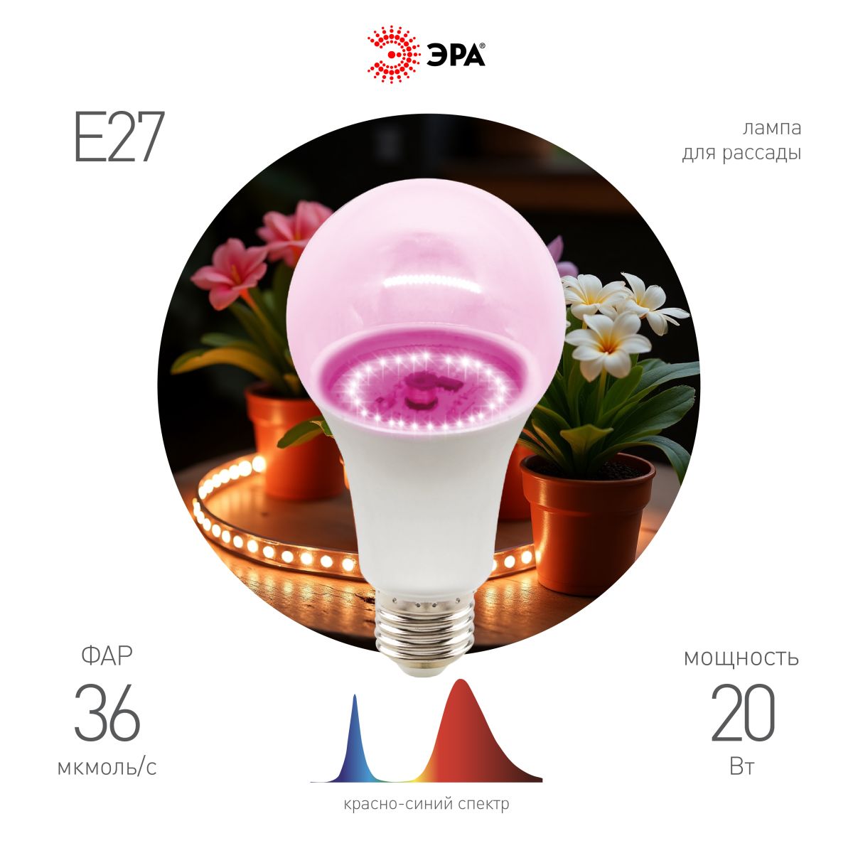 Фитолампа для растений Эра ФИТО A65-20W-PL-E27-GR Б0068597