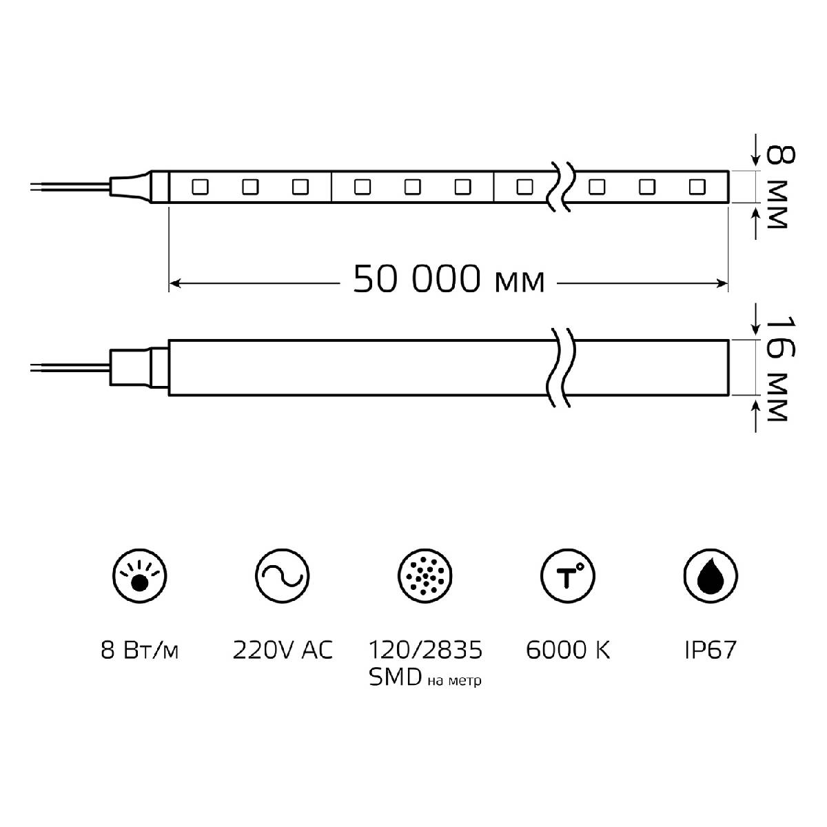 Светодиодная лента Gauss 220В 2835 8Вт/м 6500K 50м IP67 311000308