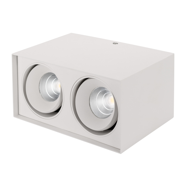 Потолочный светодиодный светильник Arlight SP-Cubus-S100x200-2x11W Day4000 023083(1)
