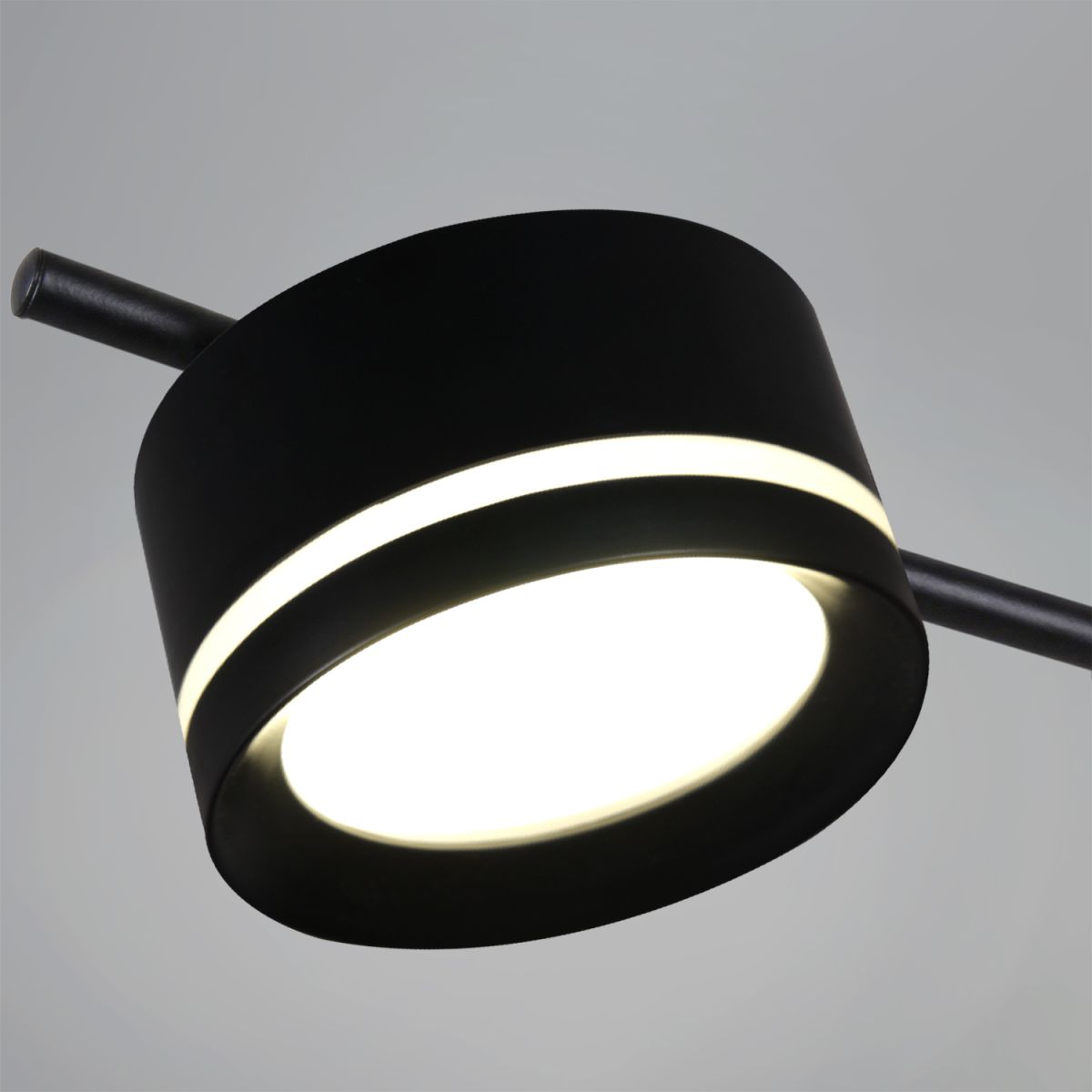 Потолочная люстра Reluce 10590-0.3-12 Black