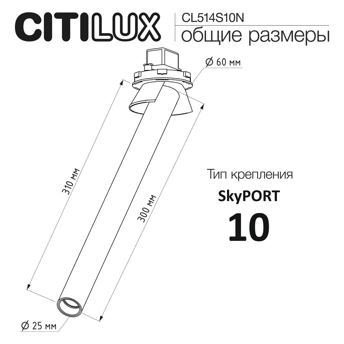 Встраиваемый спот Citilux Stek CL514S10N