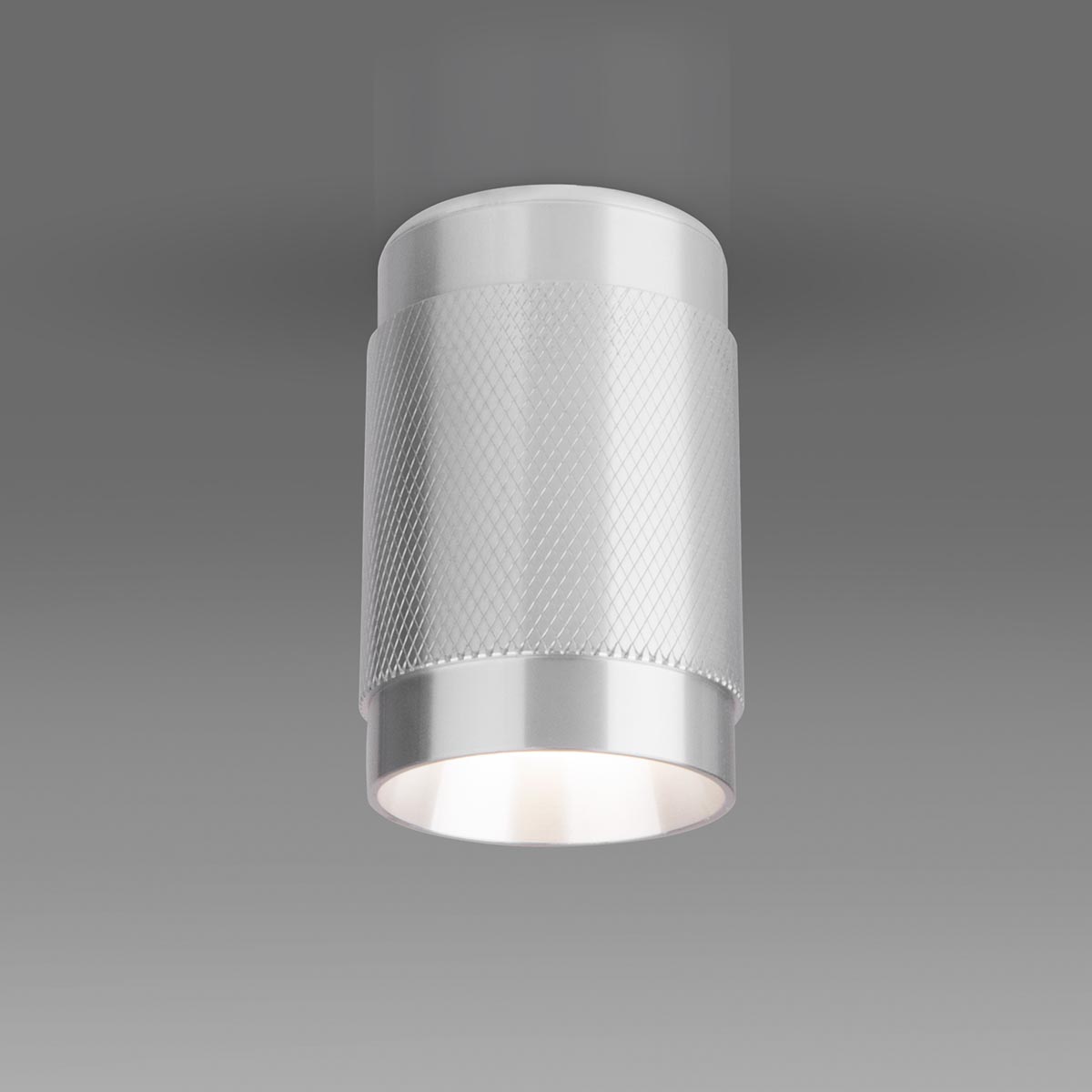 Точечный светильник Elektrostandard DLN109 GU10 серебро a047742