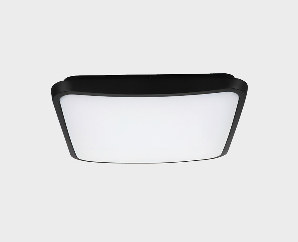 Уличный потолочный светильник Italline IT6012