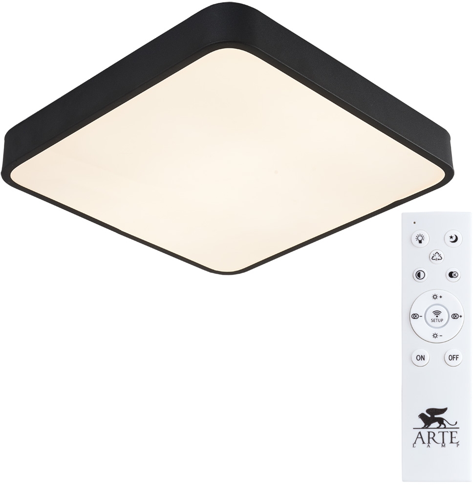 Потолочный светильник Arte Lamp A2663PL-1BK