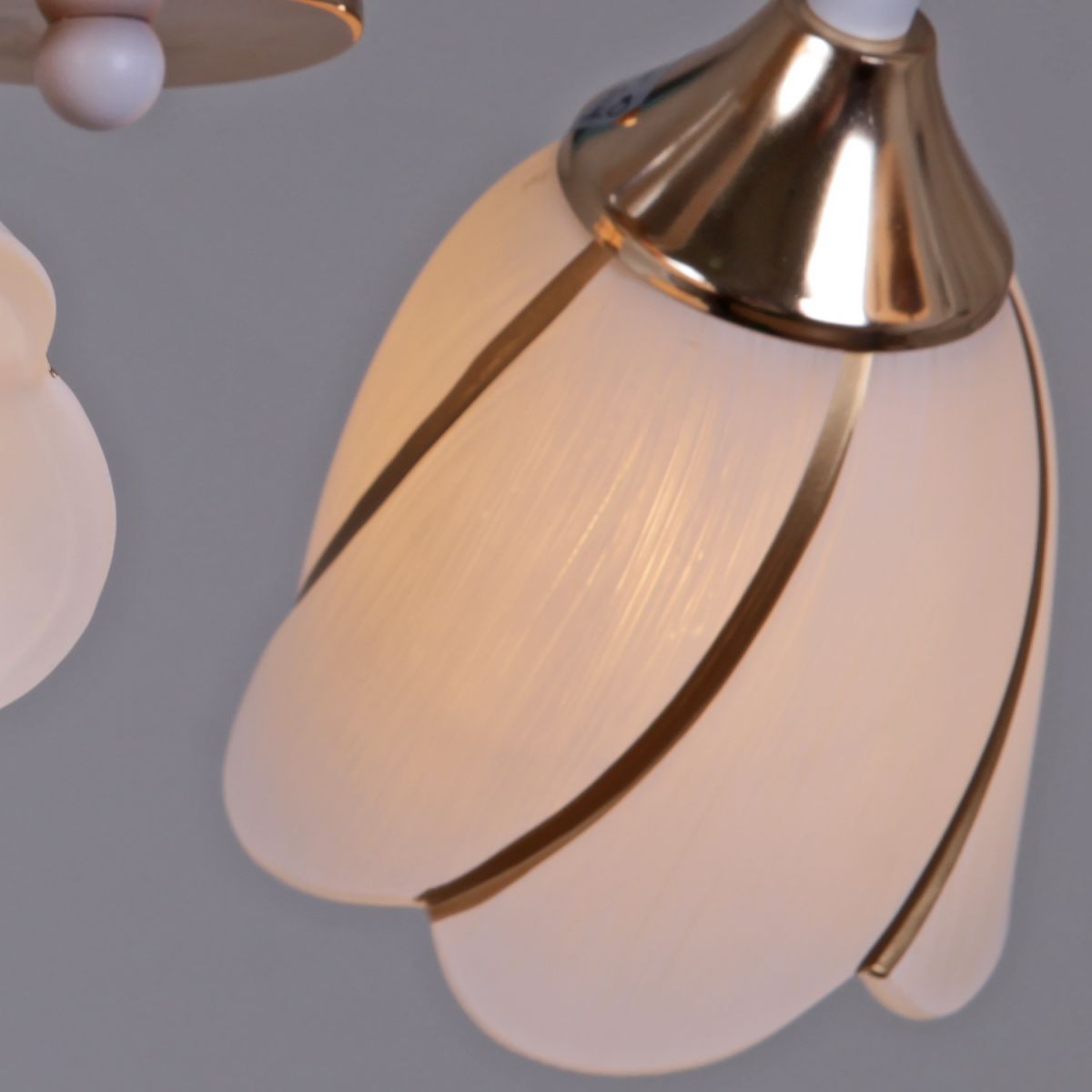 Потолочная люстра Reluce 35360-0.3-04 WH+FG