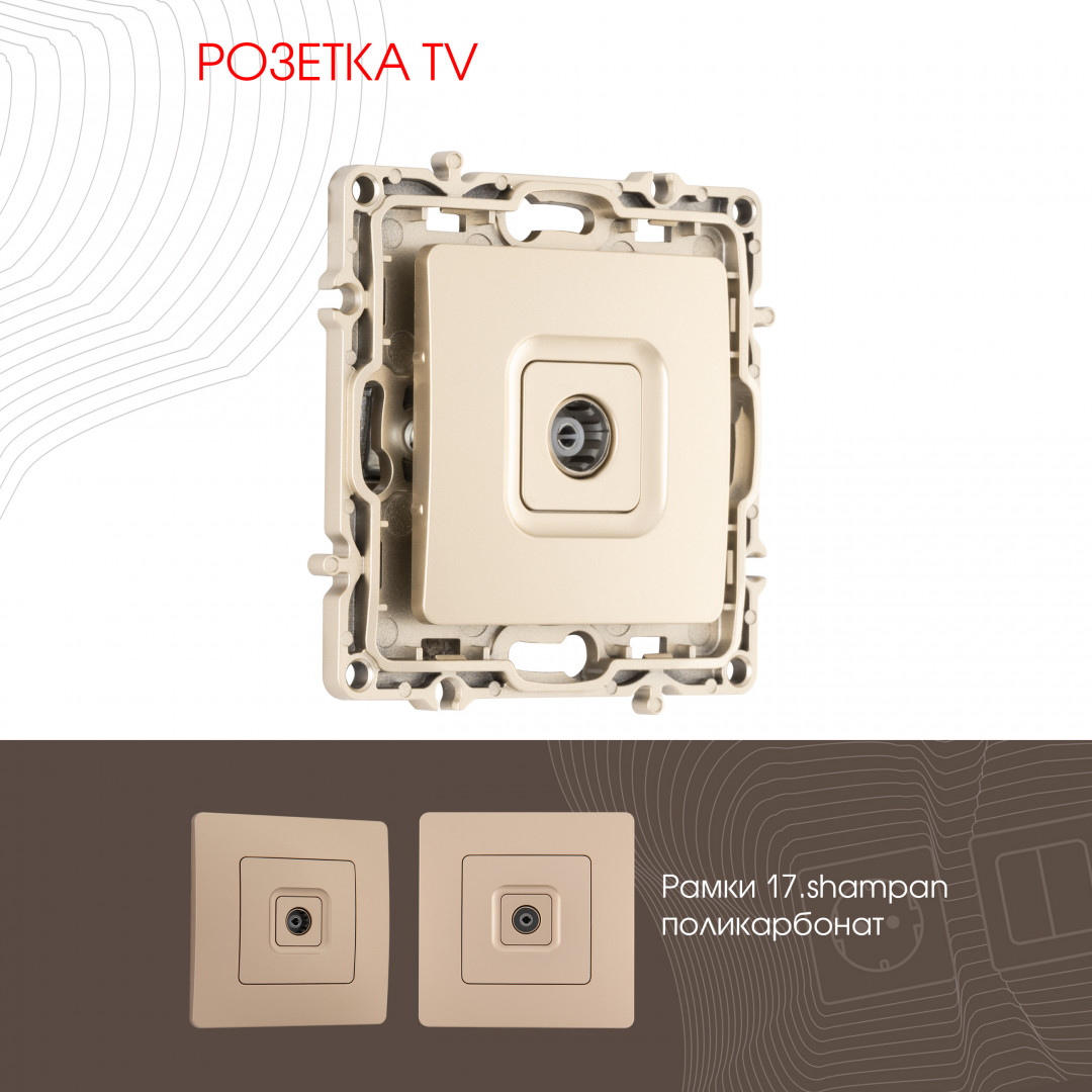 Розетка TV Arte Milano 217.43-1.shampan