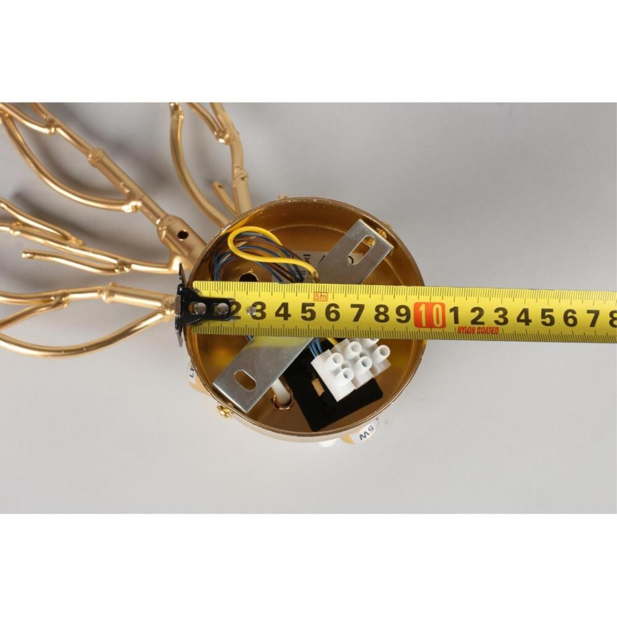 Настенный светильник  Aployt Gertunia APL.847.01.03