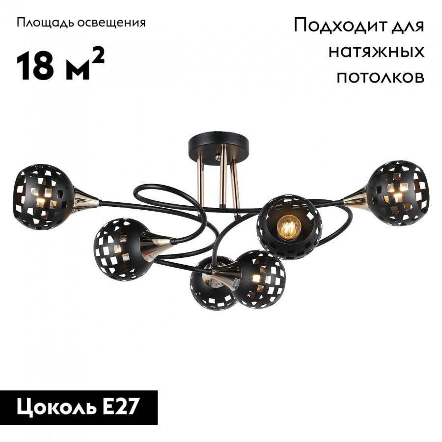 Потолочная люстра IMEX MD.19074-6-S-BK+FGD