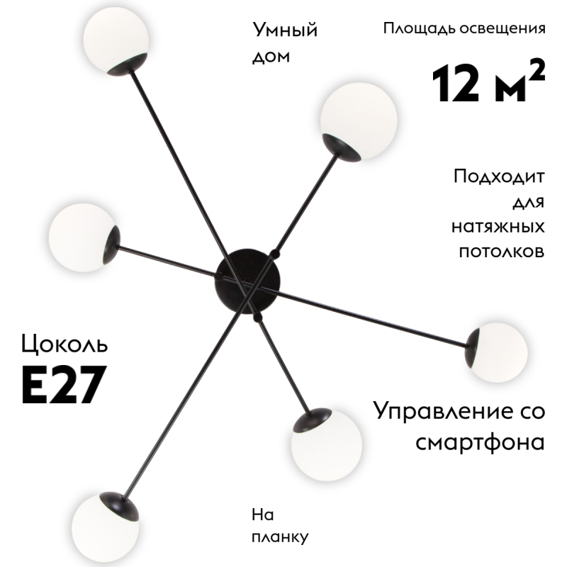 Потолочная люстра Eurosvet Netz 30181/6 черный Smart a062214
