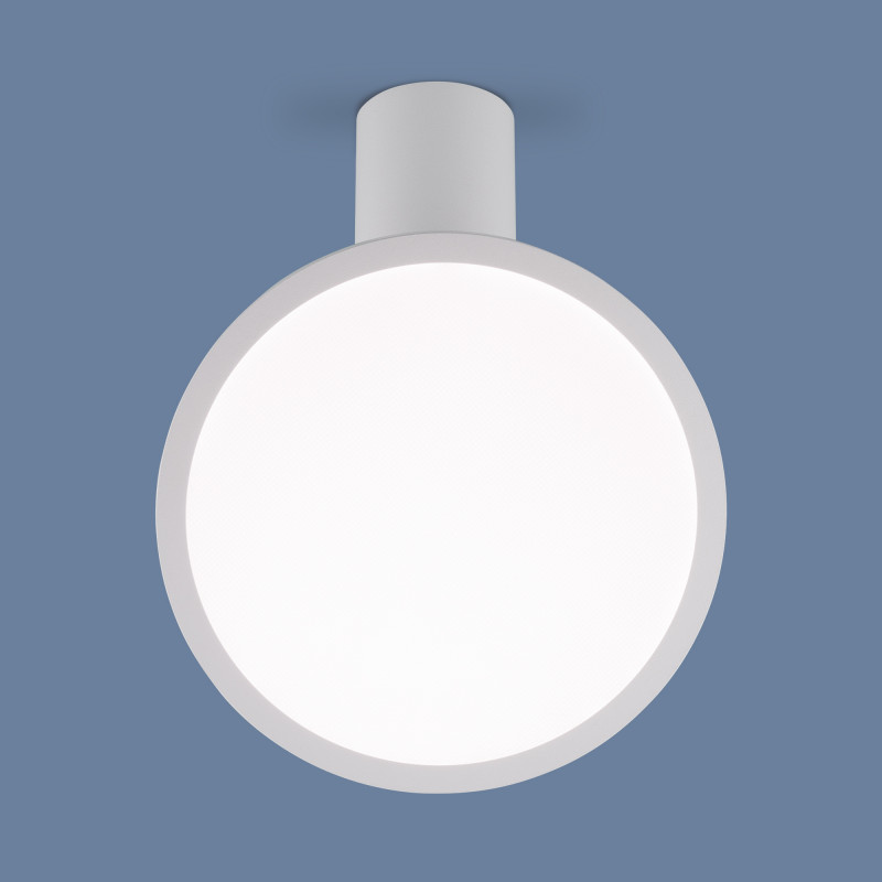 Накладной светильник Elektrostandard DLS029 12W 4200K белый матовый