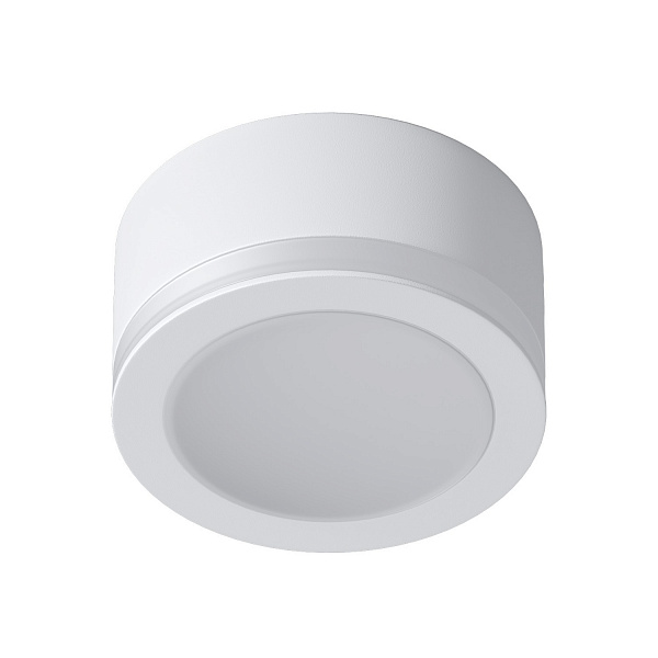Накладной светодиодный светильник Ledron SDL06-R80-4200K White