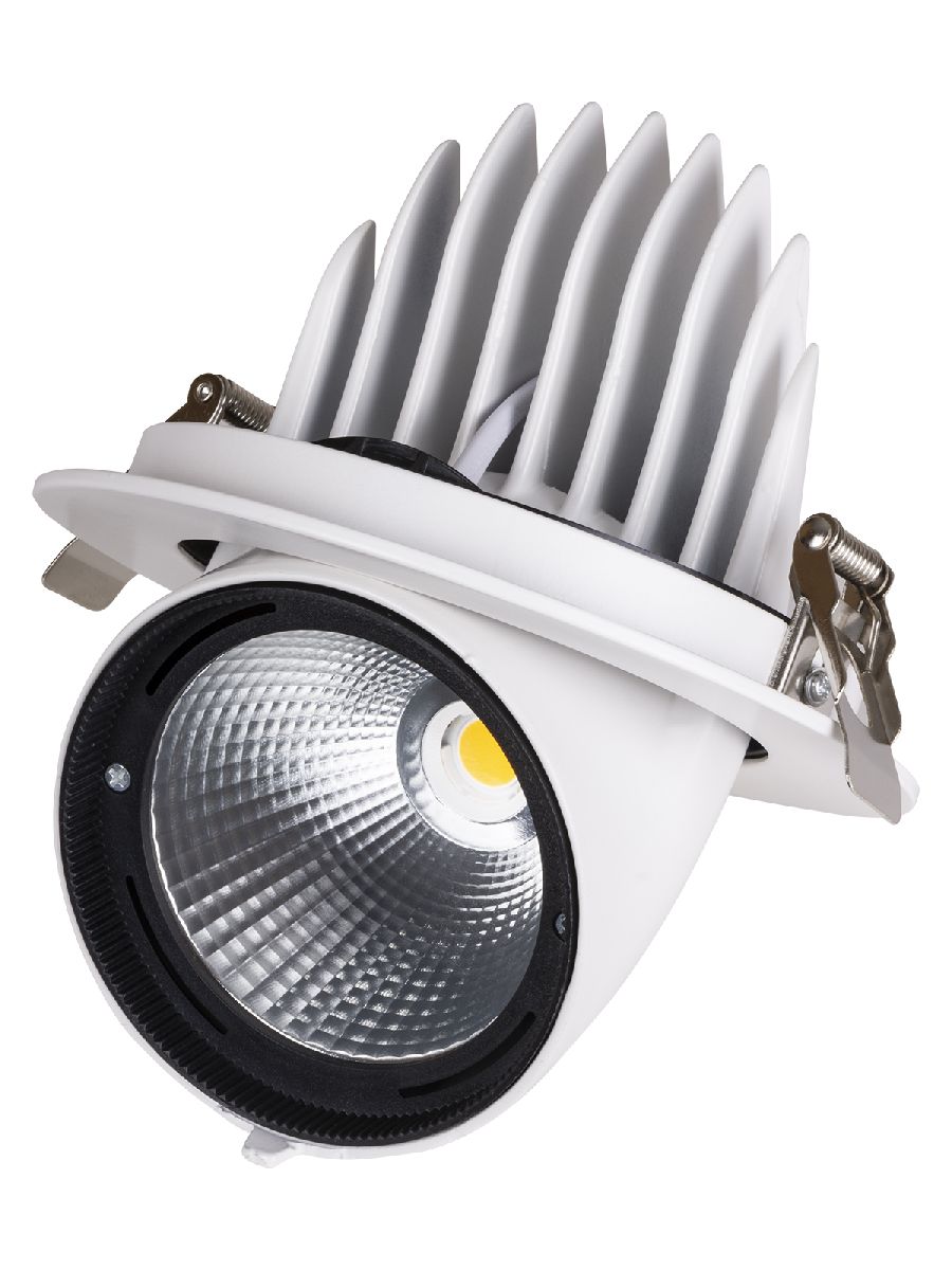 Встраиваемый светодиодный светильник TDM Electric Акцент-1DSL-01-040-WW SQ0369-0402