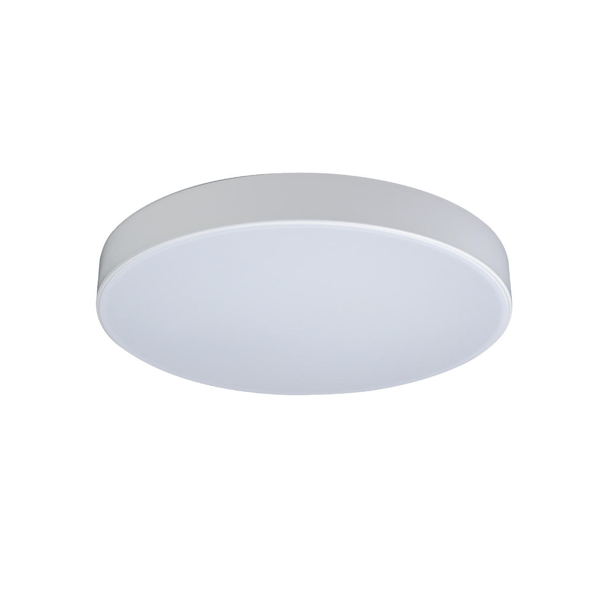 Потолочный светильник Loft IT AXEL 10002/24 White