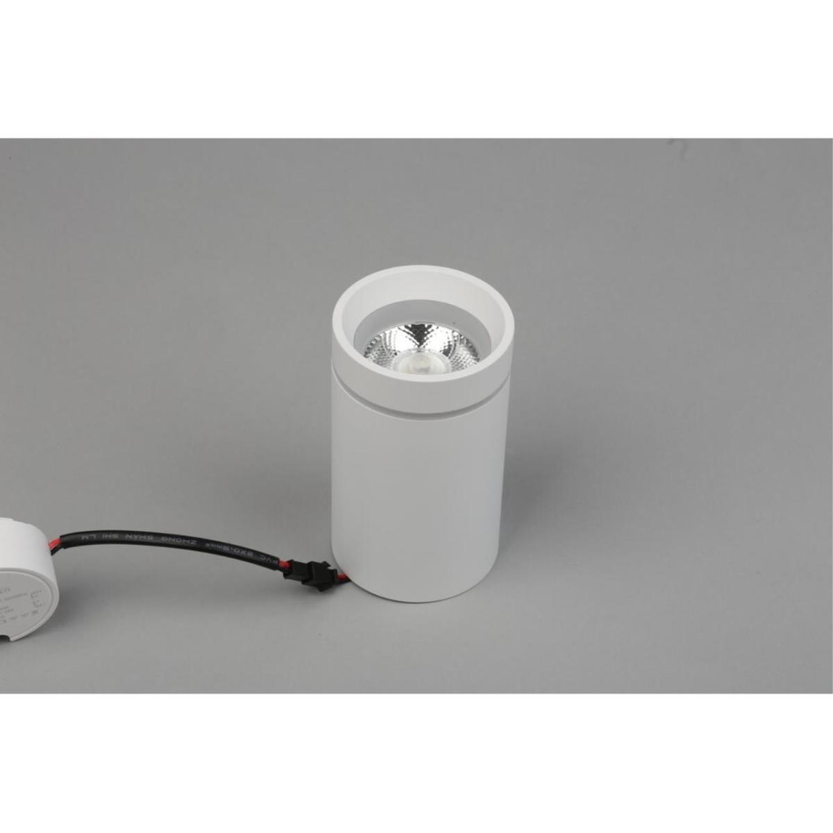 Потолочный светильник Aployt Edda APL.0054.09.10