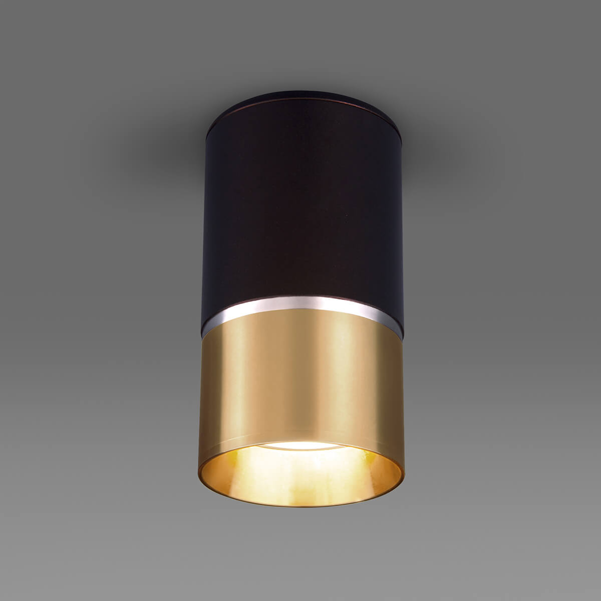 Потолочный светильник Elektrostandard DLN106 GU10 золото 4690389148590