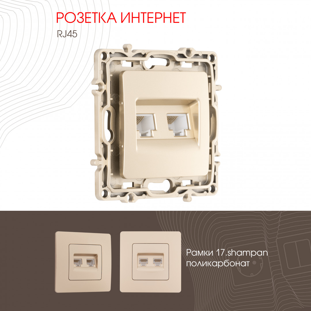 Розетка RJ45 Arte Milano 217.45-2.shampan