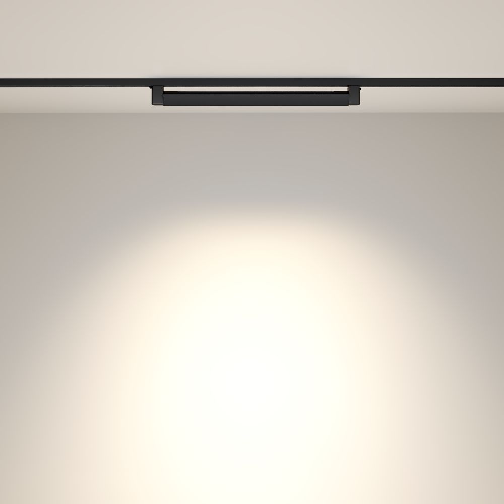 Трековый однофазный светильник на потолок Maytoni Points Rot TR010-1-20W4K-M-B