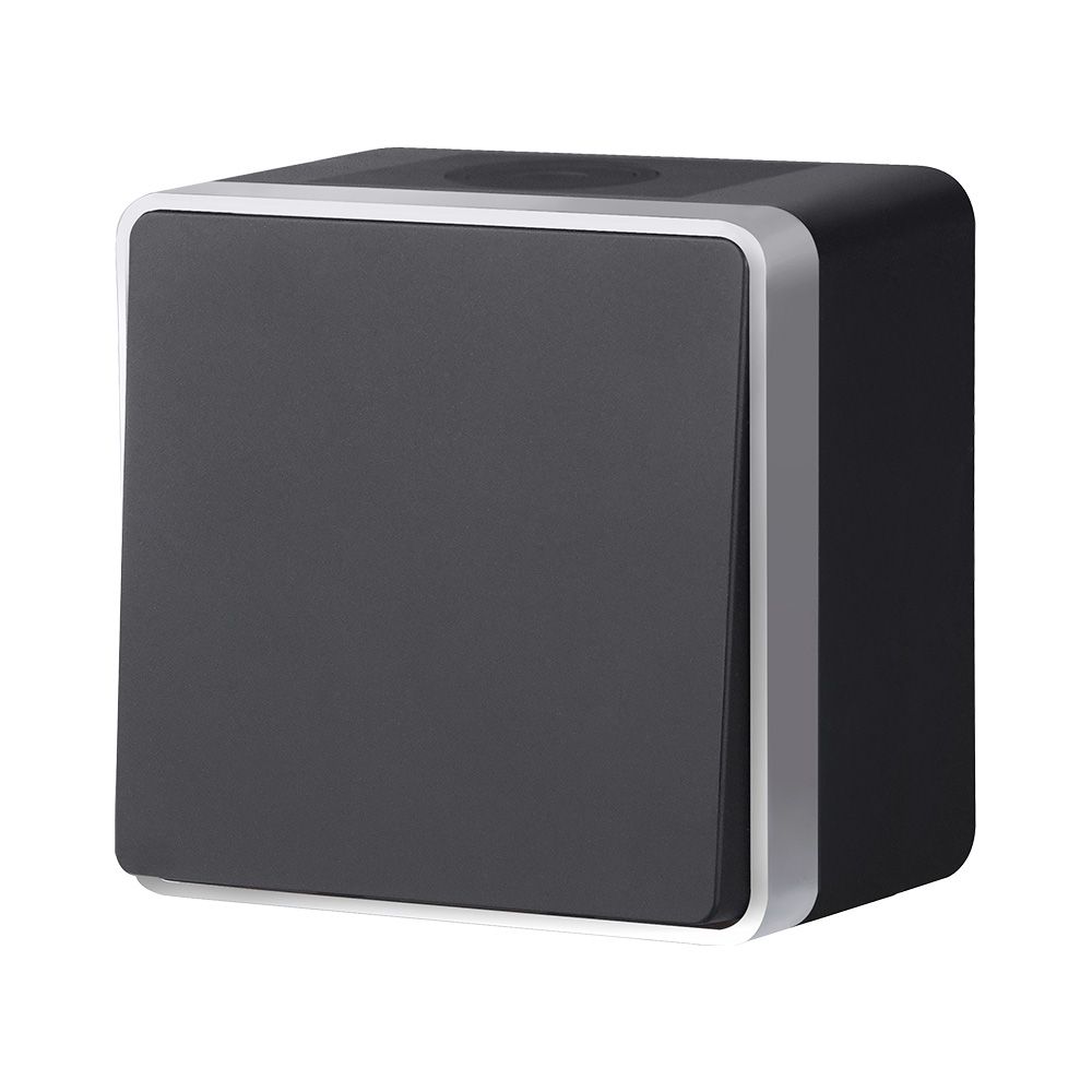 Выключатель одноклавишный влагозащищенный Werkel Gallant (черный с серебром) W5010234 4690389164033 a051162