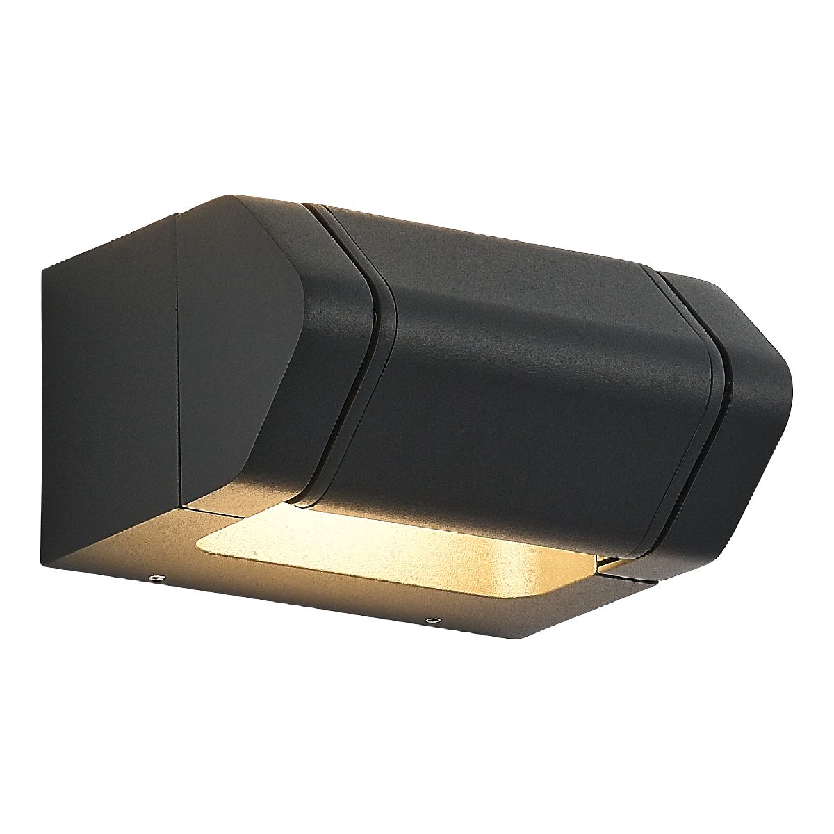 Фасадный светильник ST Luce Protech SL9540.701.01