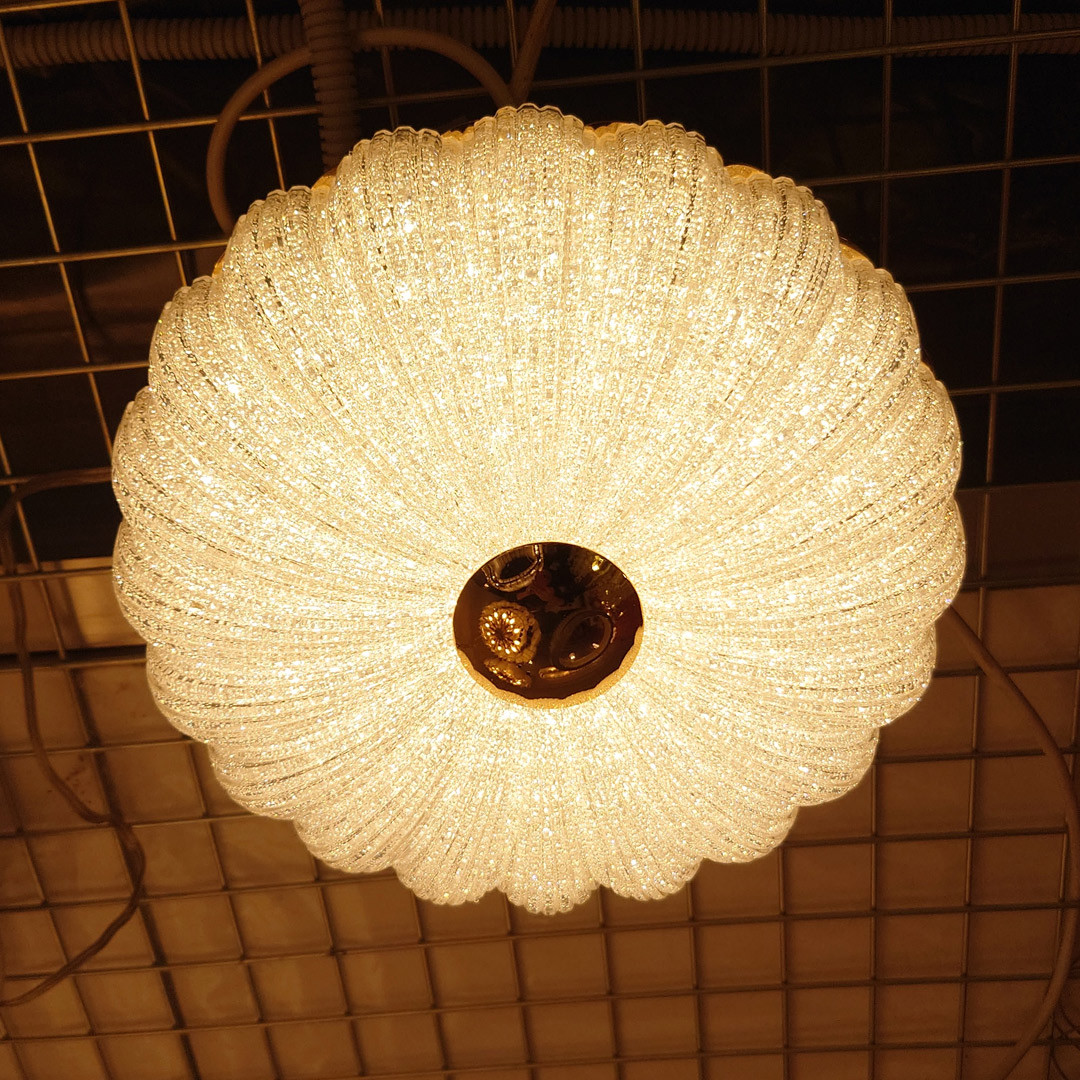 Потолочный светильник Cloyd Dessa 10371