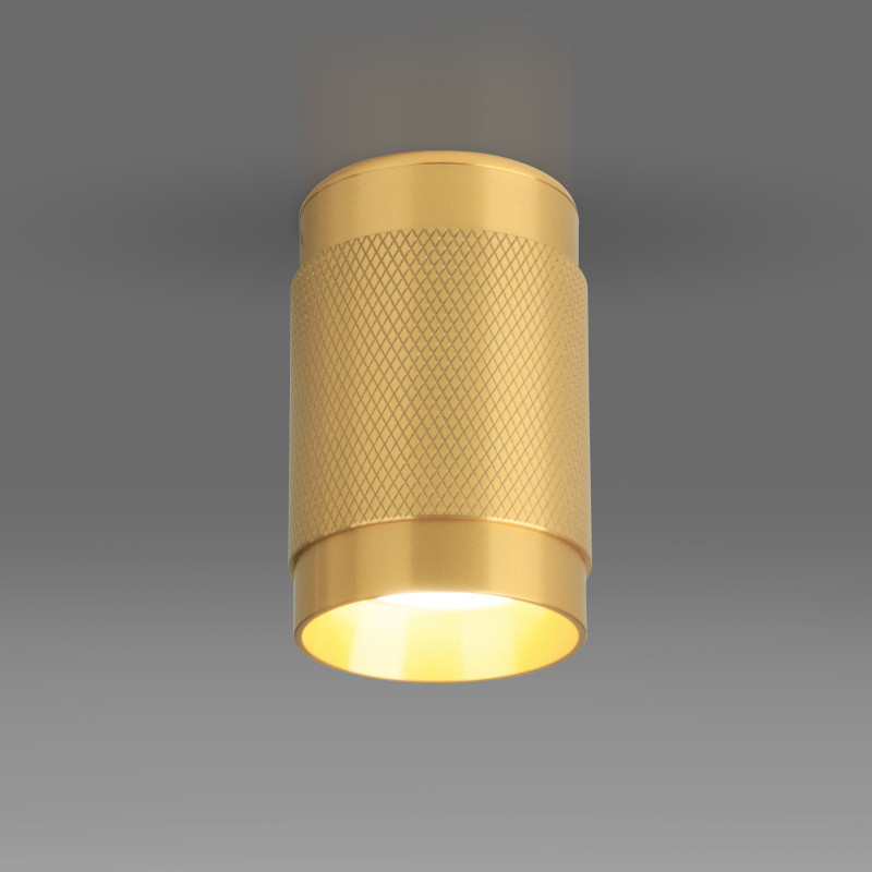 Точечный светильник Elektrostandard DLN109 GU10 золото a047741