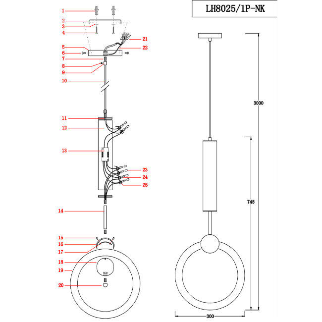 Подвесной светильник Lumien Hall Dorian LH8025/1P-NK