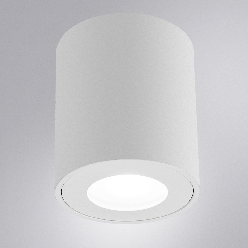 Накладной светильники Arte Lamp Tino A1469PL-1WH