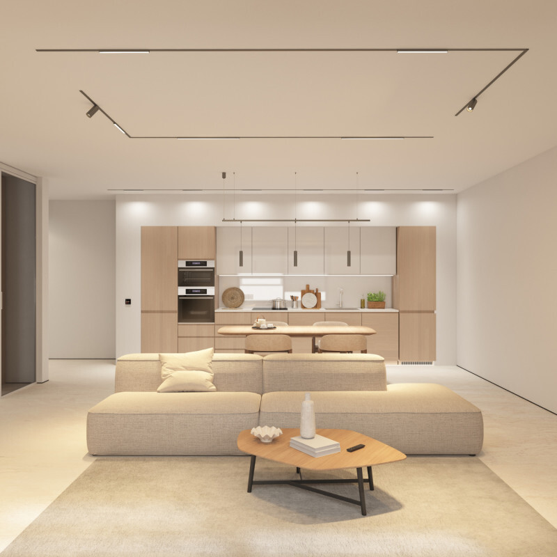 Трековый магнитный светильник Denkirs Shine Spot Zigbee DK5944-DN