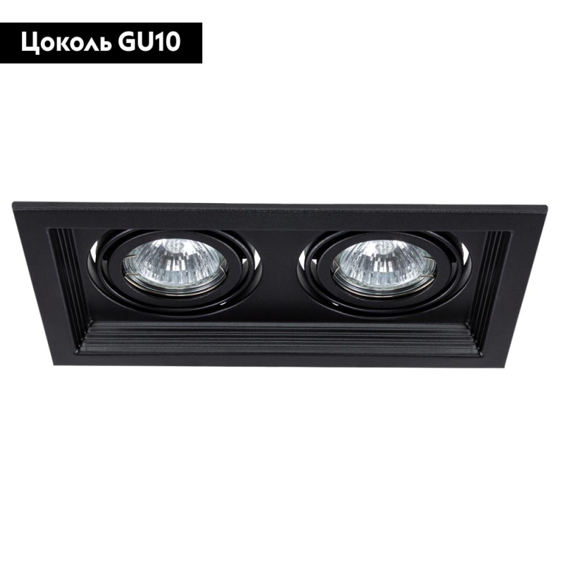 Встраиваемый светильник Arte Lamp Canis A6661PL-2BK