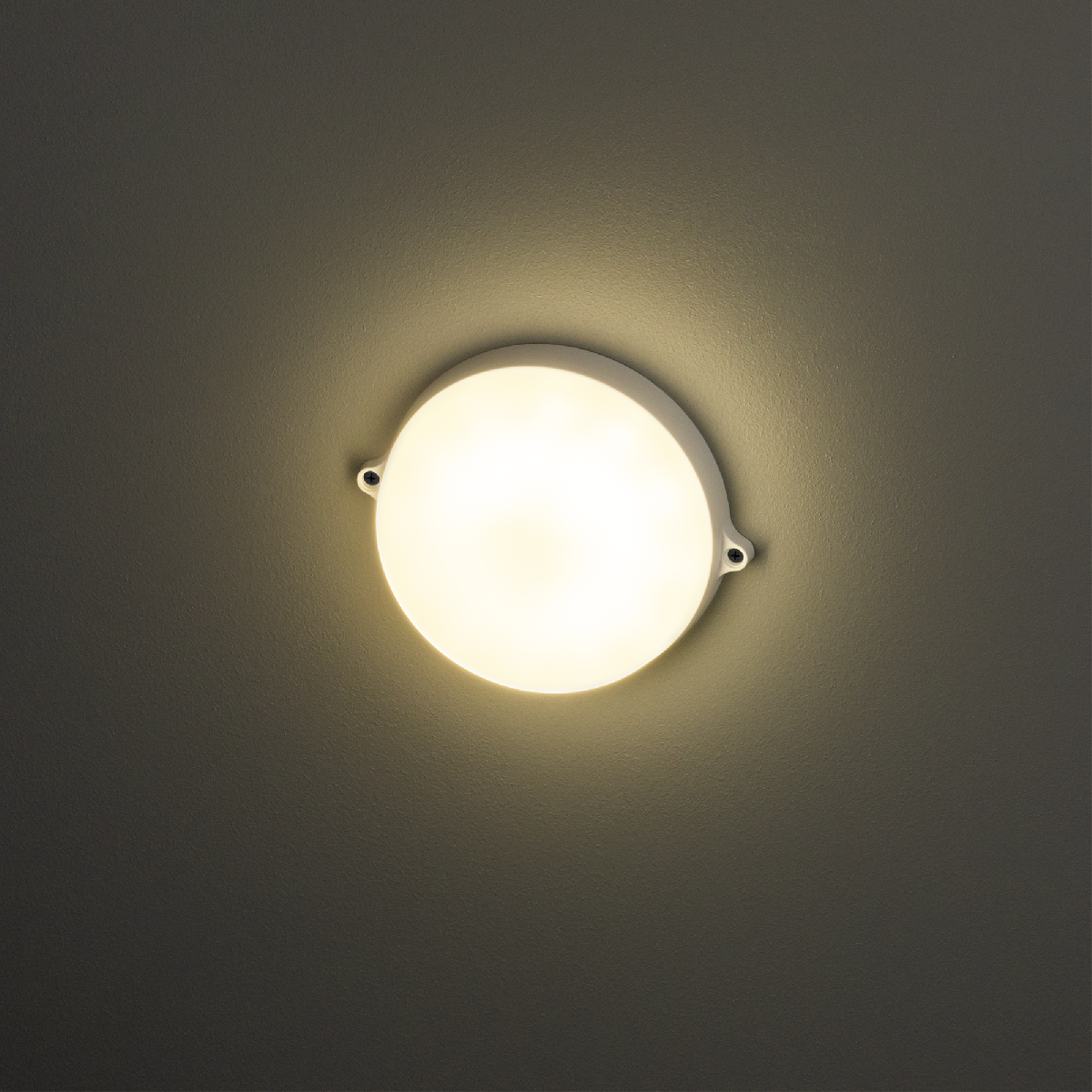 Настенно-потолочный светильник REV Round 28918 0