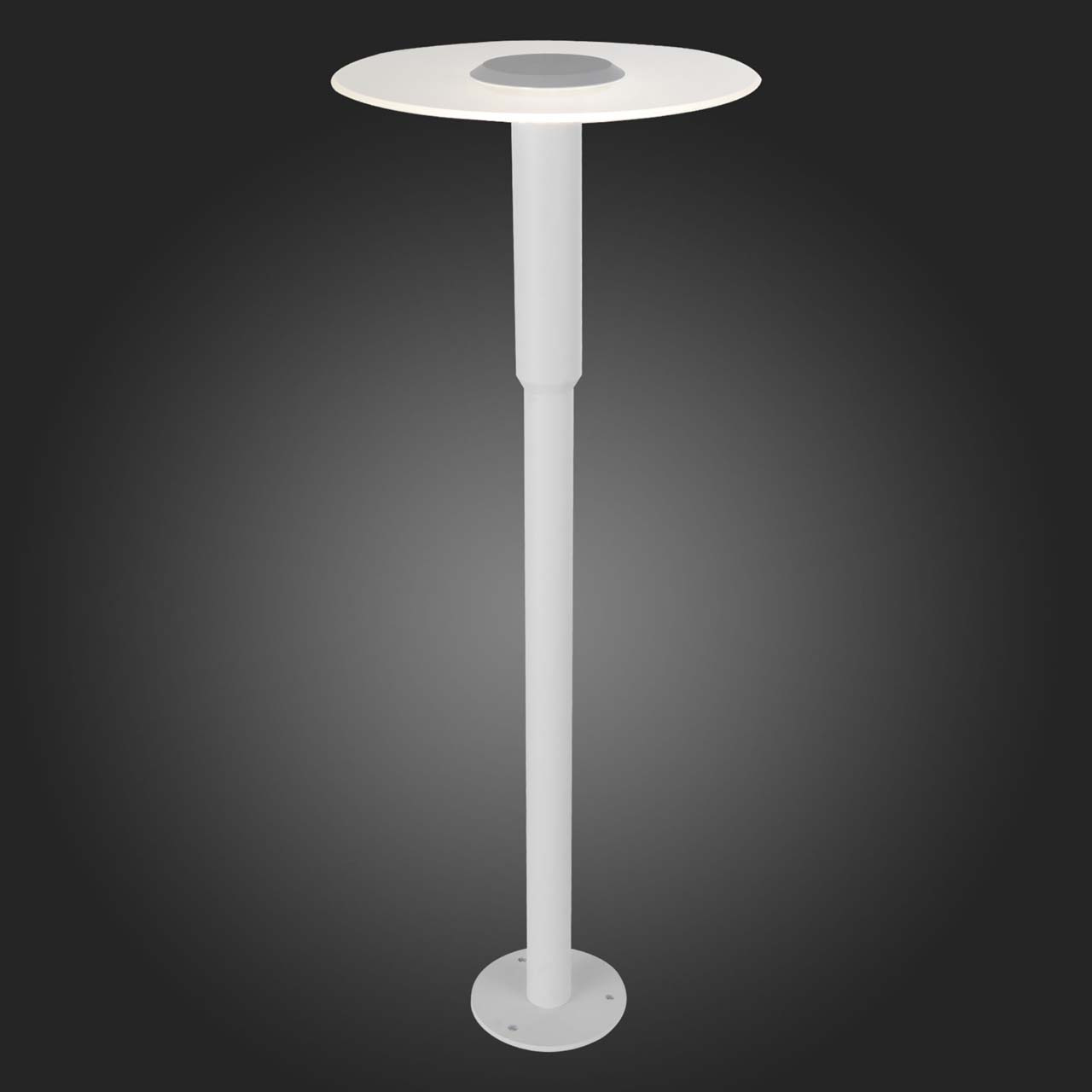 Уличный светодиодный светильник ST Luce SL099.505.01 в #REGION_NAME_DECLINE_PP#