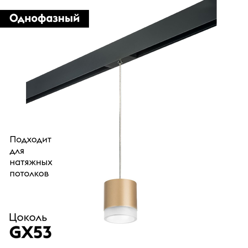 Трековый однофазный светильник Lightstar Rullo (213490+595887+202480) PRORP349080