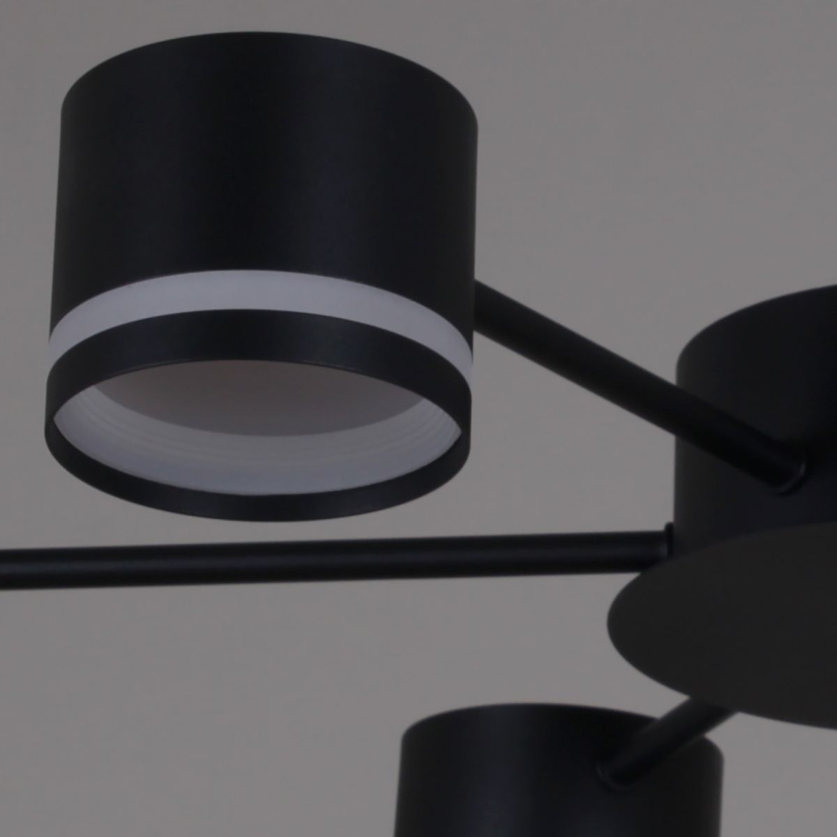 Потолочная люстра Reluce 06730-0.3-12 GX53 BK