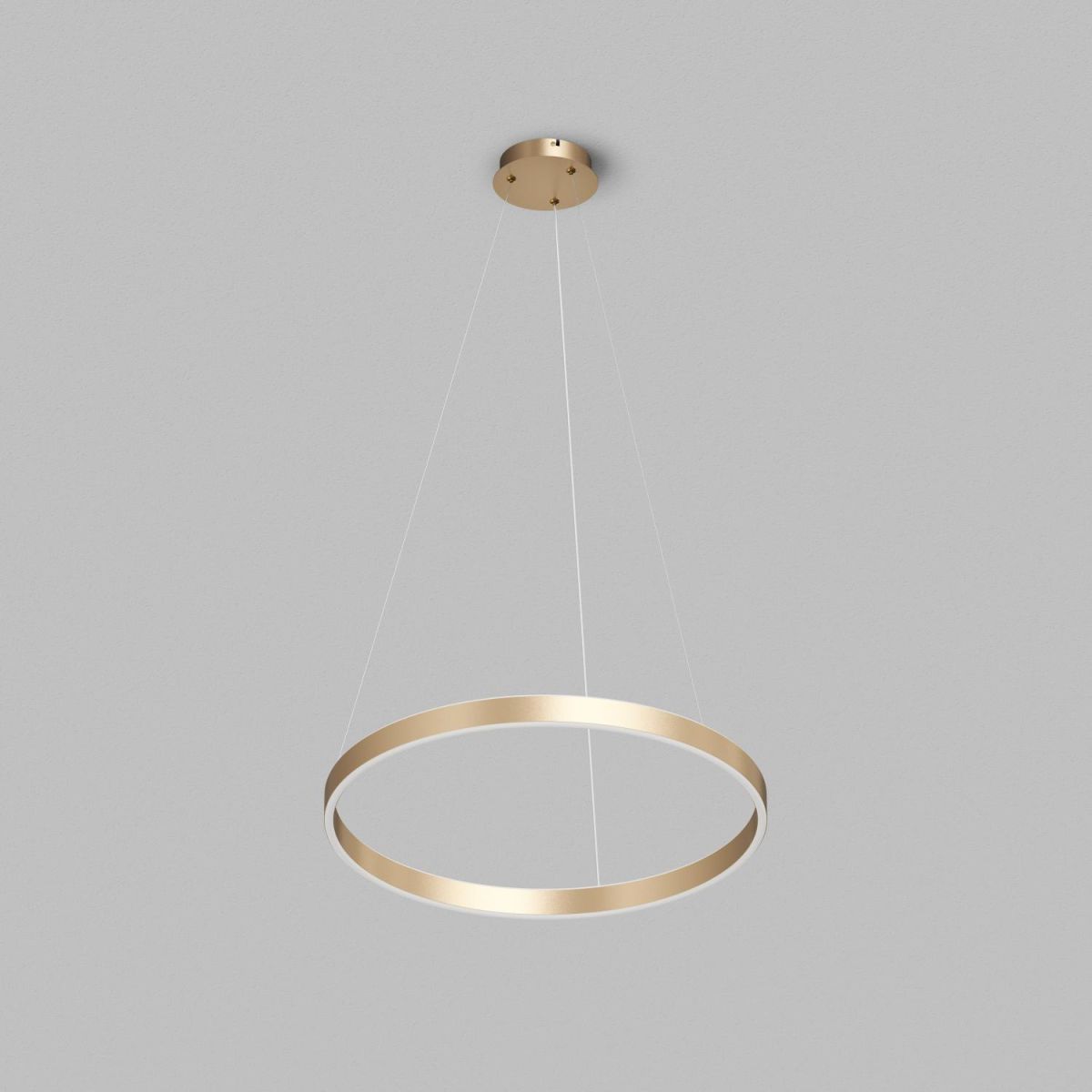 Подвесной светильник Denkirs Raydia DK6273-SG