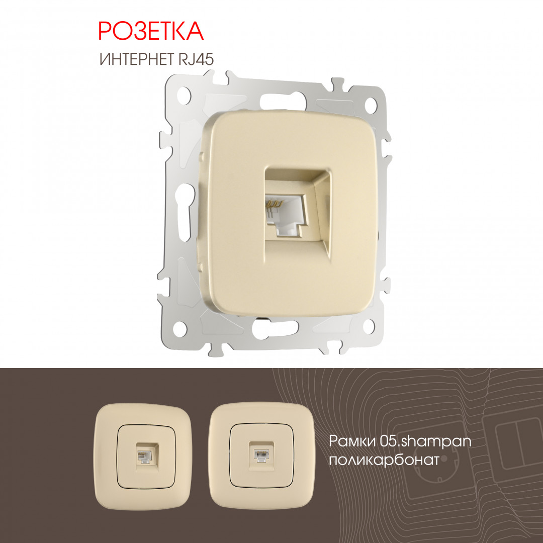 Розетка RJ45 Arte Milano 205.45-1.shampan