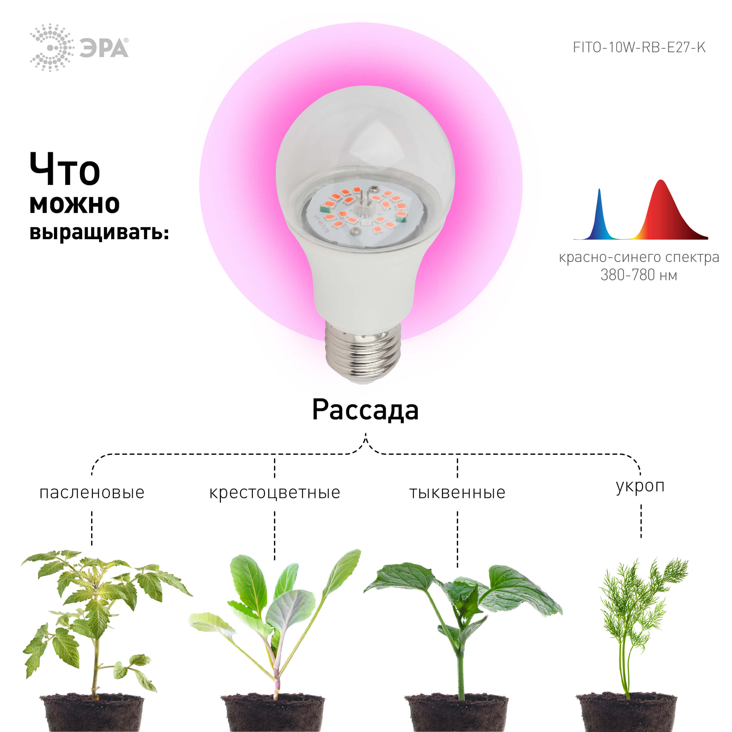 Фитолампа для растений светодиодная ЭРА E27 10W 1310K FITO-10W-RB-E27-K Б0039069 в Москве