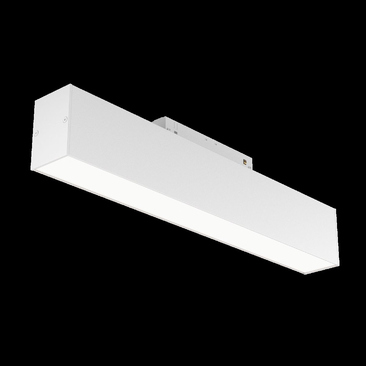 Трековый светильник Maytoni Technical BASIS TR012-2-12W4K-W