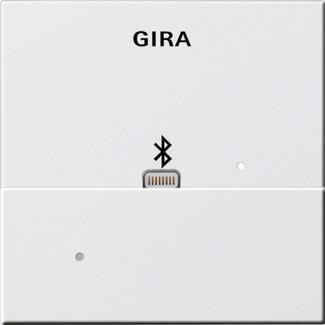 Лицевая панель Apple Lightning Gira System 55 для вставки док-станции чисто-белый глянцевый 228703