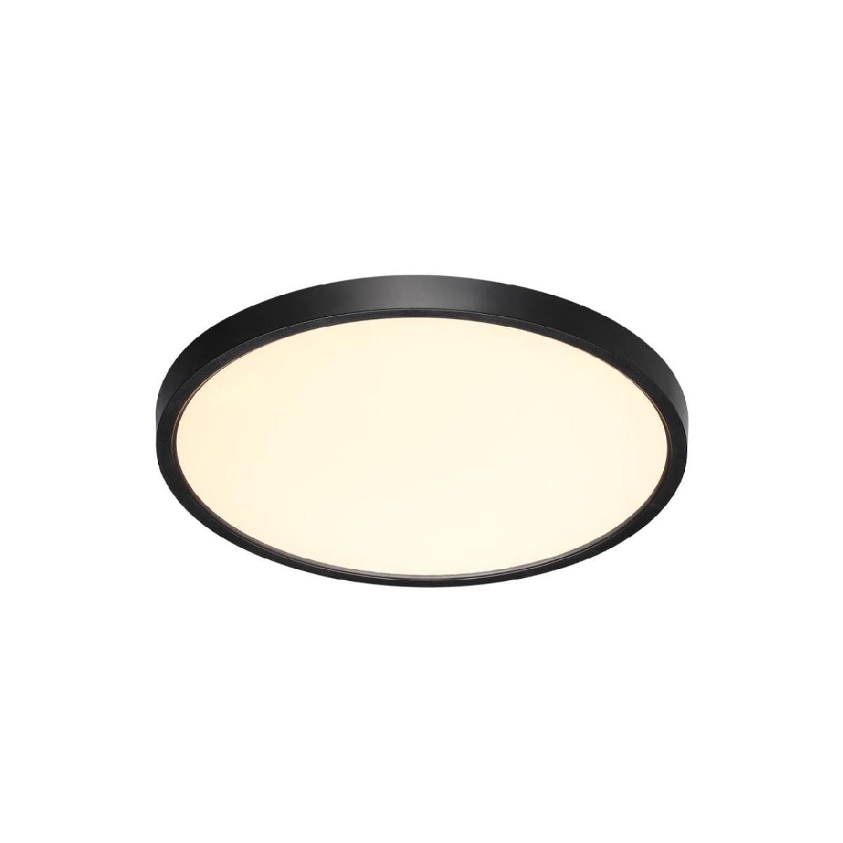 Настенно-потолочный светильник Sonex Alfa black 7660/24L