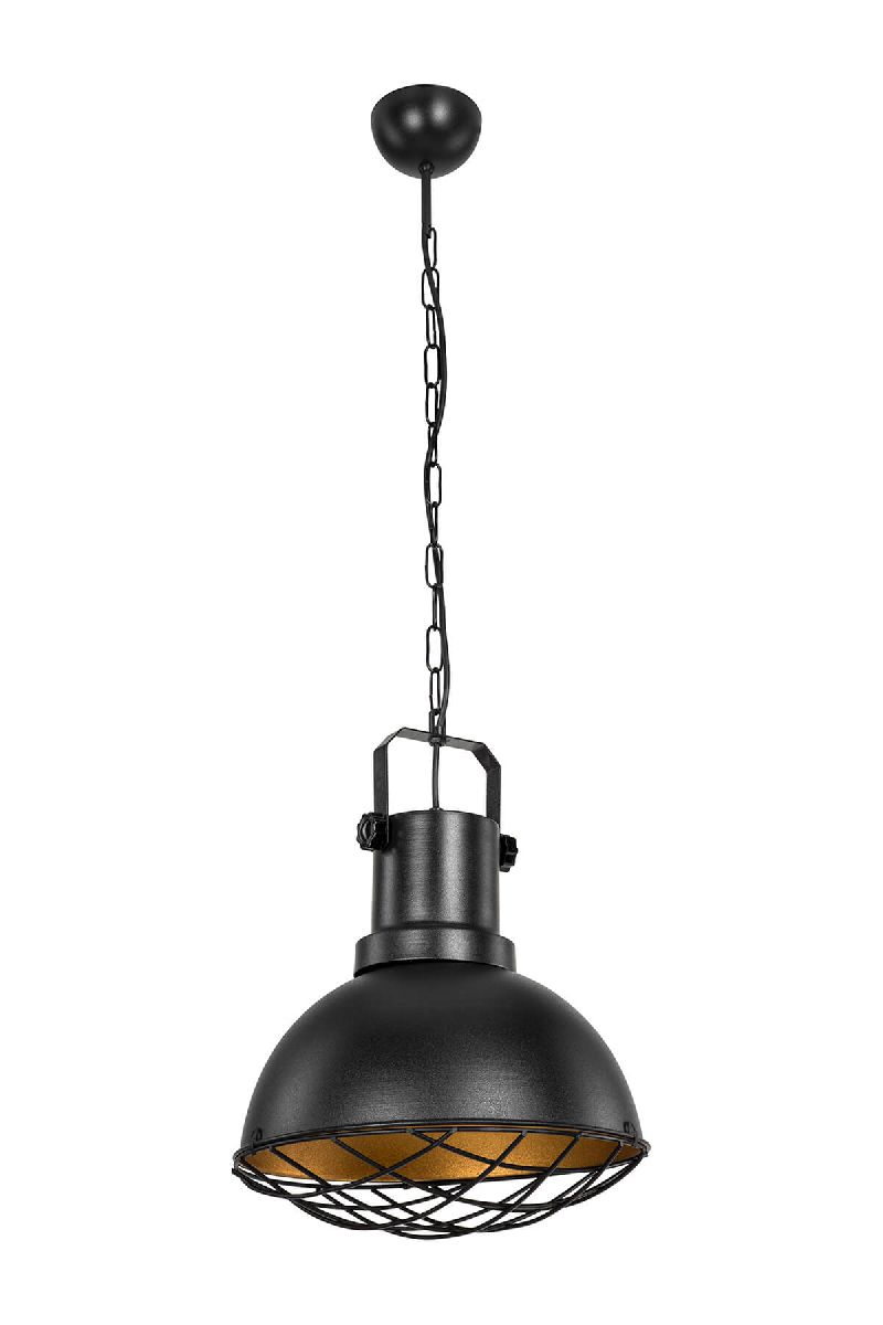 Подвесной светильник Toplight Christiana TL1637H-01BK