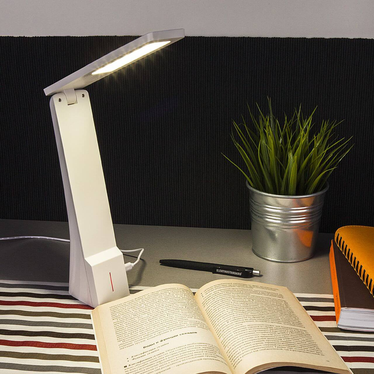 Настольная лампа Elektrostandard TL90450 Desk белый/серебряный 4690389111532 в #REGION_NAME_DECLINE_PP#