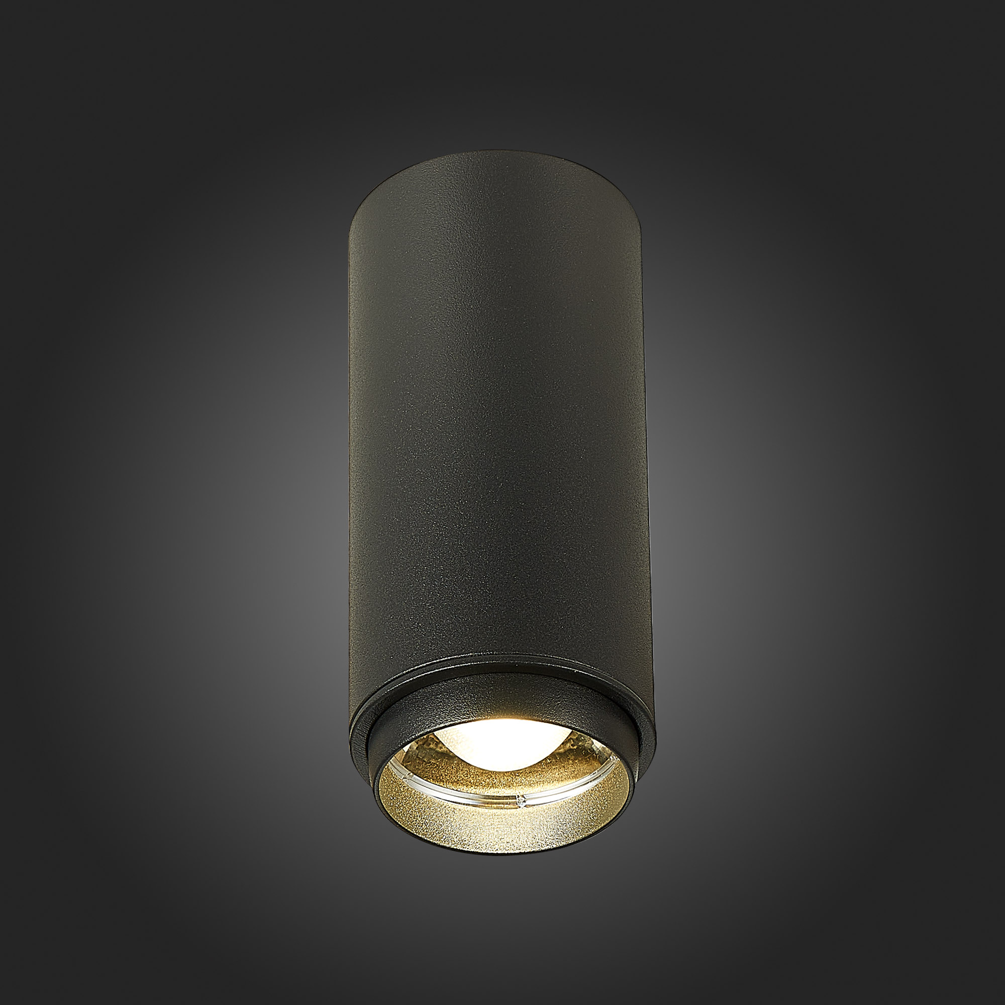 Потолочный светильник ST Luce Zoom ST600.442.10 в #REGION_NAME_DECLINE_PP#