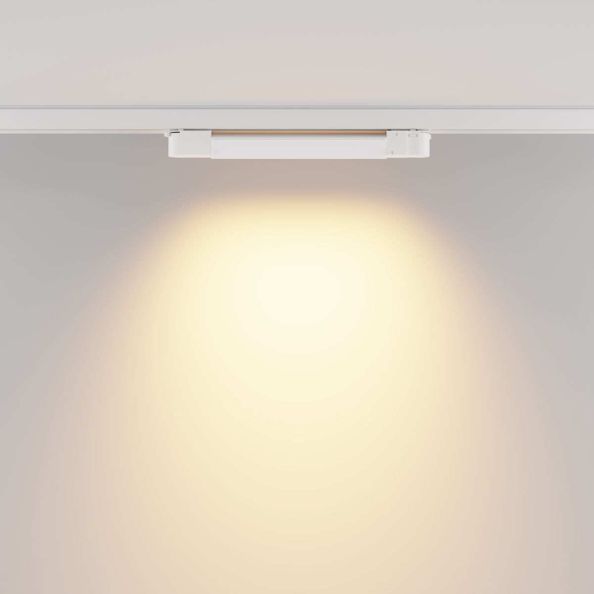Трековый трехфазный светильник Maytoni Technical Basis TR196-3-10W2.7K-W(N)