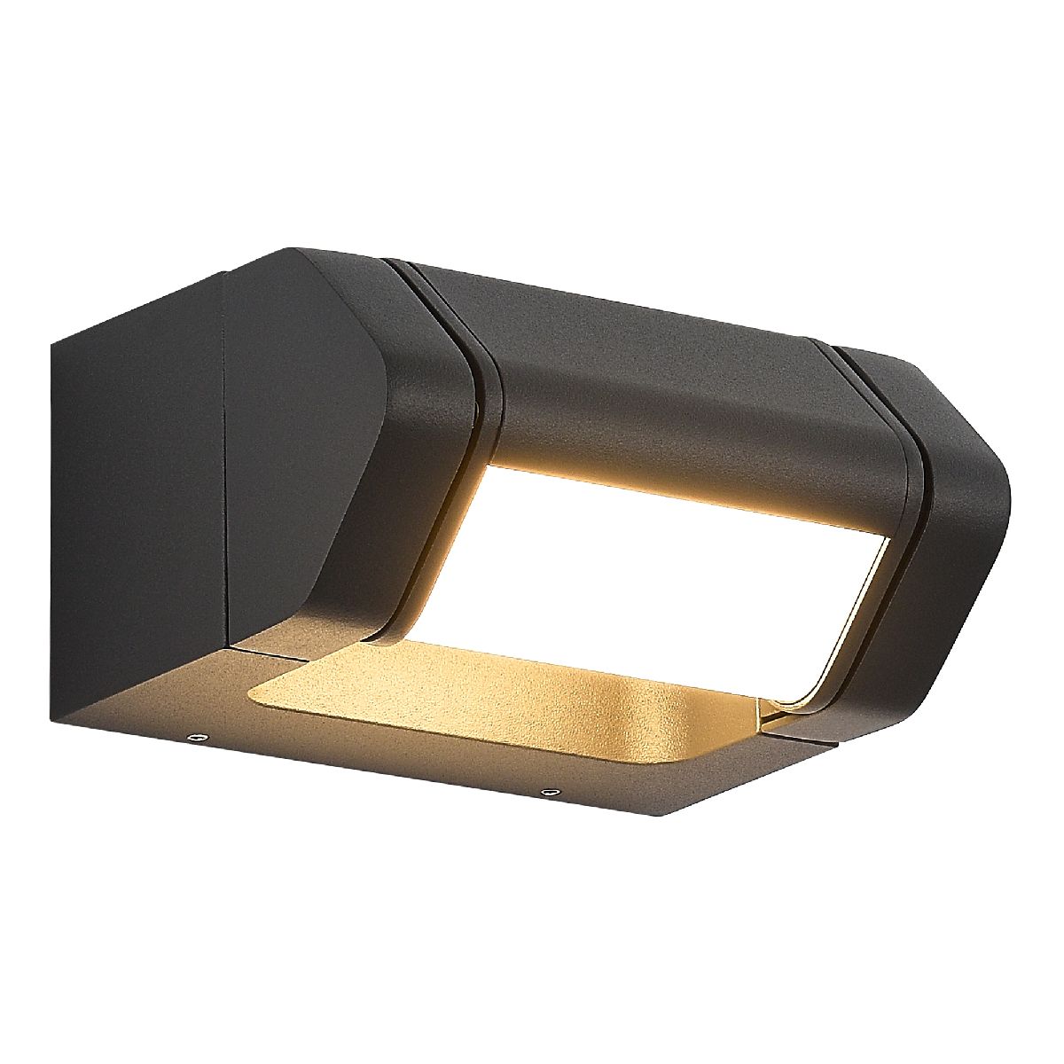 Фасадный светильник ST Luce Protech SL9540.701.01