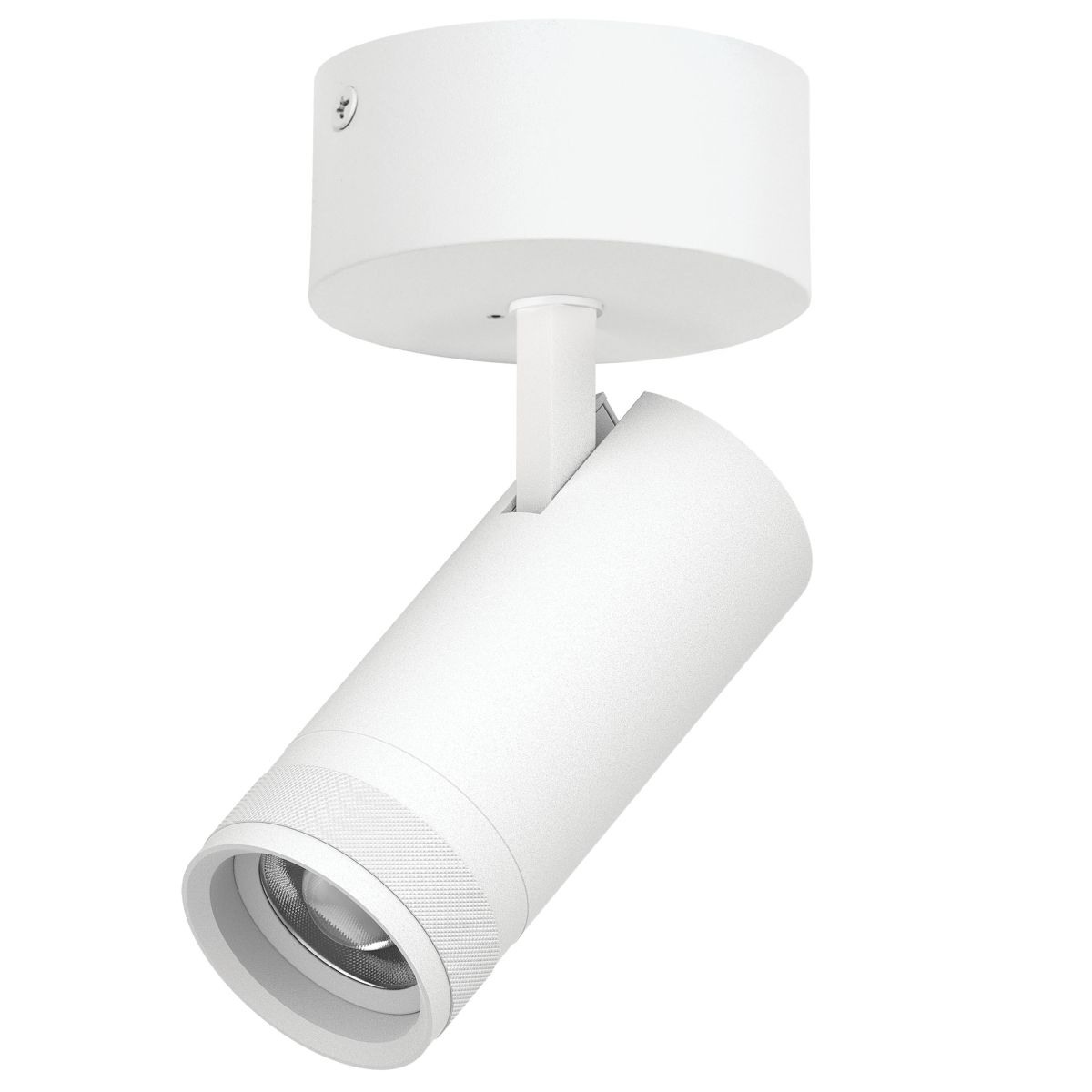 Накладной светильник 20-55G с адаптером Lightstar Canno Pro C4206SO